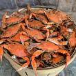 crabs