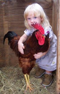 e918d3dc6511fb8d4c9b45ba6c510f37--country-farm-country-girls